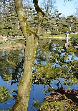 日本花園,北區公園,杜塞爾多夫