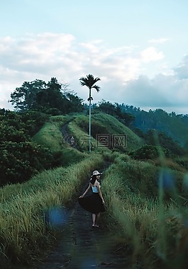 綠色,草,高原