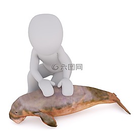 男性,3d模型,孤立