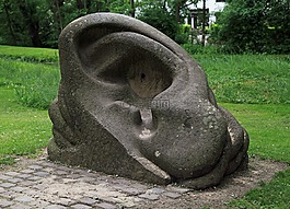 雕塑,耳廓,耳