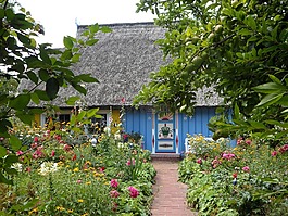 里德,屋頂,豐富多彩