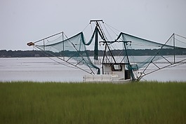 船,捕虾船,沿海