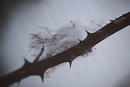 黑暗,棉花,白