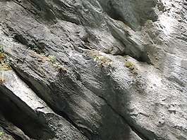 岩,灰色,石头