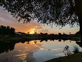 日出,湖,水