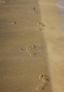 沙,海灘,占地面積