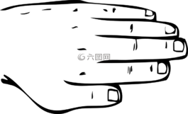 手,手指,身體