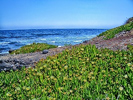 圣托里尼,希腊,海