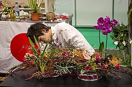 花商,鮮花,安排