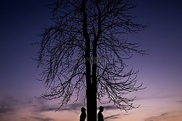 人,男子,女子