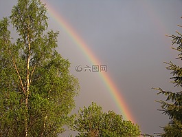 彩虹,夏天,天氣