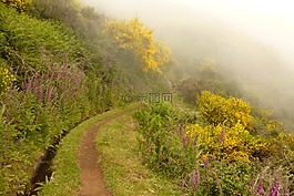 徒步旅行,馬德拉,葡萄牙