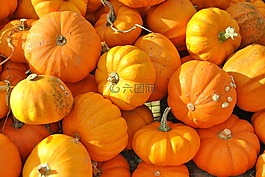 南瓜,萬圣節(jié),秋天
