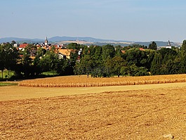 schnersheim,法國,景觀