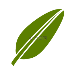 葉,綠色,植物