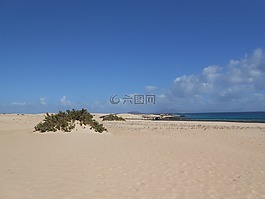 海灘,海,海洋