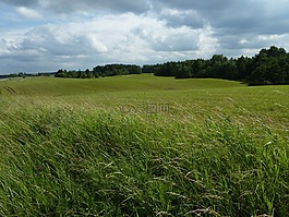 麦田,masuria,冰碛景观
