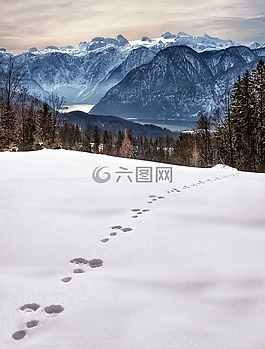 寒冬,雪,痕跡