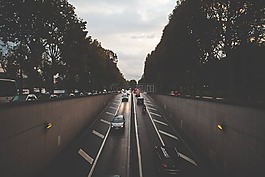 路,車,總線