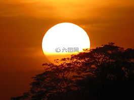 日落,太陽(yáng),背光