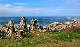南非,海岸,海