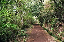 馬德拉,高地,山