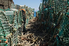 釣魚,凈,繩