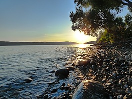 黄色,橙,水