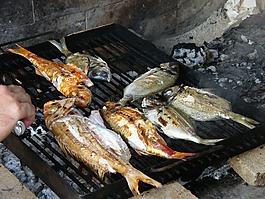 魚,燒烤,海