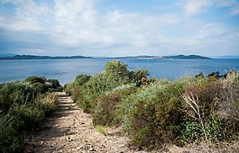 海,海灘,查看