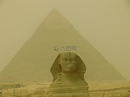 金字塔,埃及,shinx