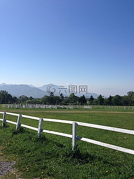 富士山,牧場,藍色的天空