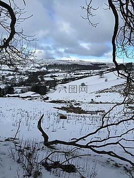雪,丘陵,自然