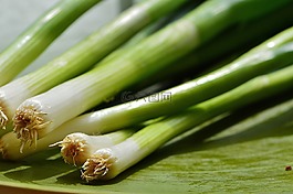 蔥,韭菜,美味