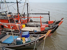 船,中國船,中國