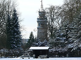冬季森林,雪,寒冬