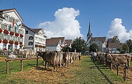牛秀,海關,appenzellerland
