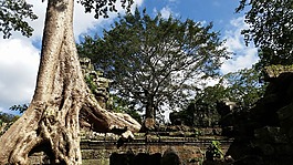 柬埔寨,吳哥,廟