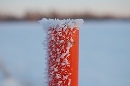 發(fā)布,紅色,雪