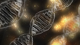 dna,鏡,細胞