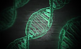 dna,鏡,細胞