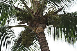 廠,景觀,景區(qū)
