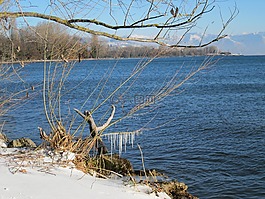雪,湖,冷