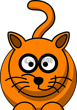 猫,姜,豹