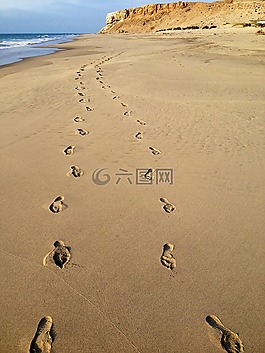 海滩,夫妇,海洋