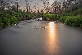 水,過(guò)獨(dú)身生活,自然保育