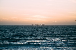 海,水,海洋