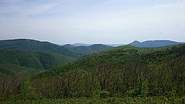 山,夏季,綠黨
