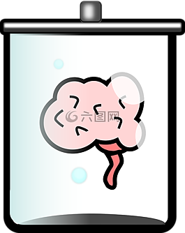 腦,罐,養(yǎng)護(hù)