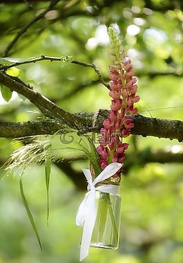 鲜花,花束,浪漫